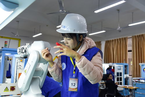 2019年博諾杯工業(yè)機(jī)器人維修調(diào)試與技術(shù)應(yīng)用賽項(xiàng)在我校開賽